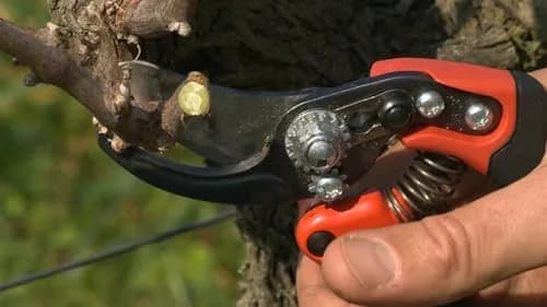 Bahco BAHPX-S2 ERGO Small Bypass Pruning Shears, 7" Length, 3/4" Cut Cap | Ergonomic Garden Shears for Precise Pruning thumbnail 7