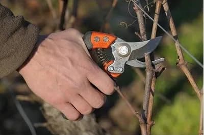 Bahco BAHPX-S2 ERGO Small Bypass Pruning Shears, 7" Length, 3/4" Cut Cap | Ergonomic Garden Shears for Precise Pruning thumbnail 3