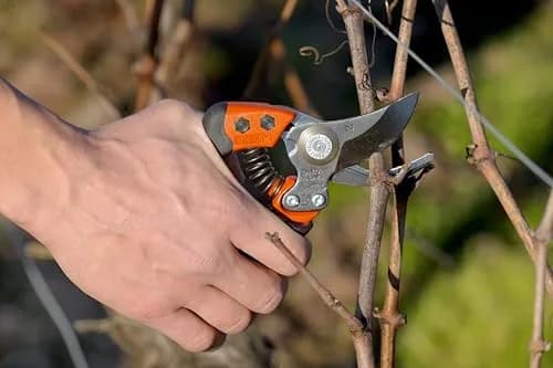 Bahco BAHPX-S2 ERGO Small Bypass Pruning Shears, 7" Length, 3/4" Cut Cap | Ergonomic Garden Shears for Precise Pruning thumbnail 4