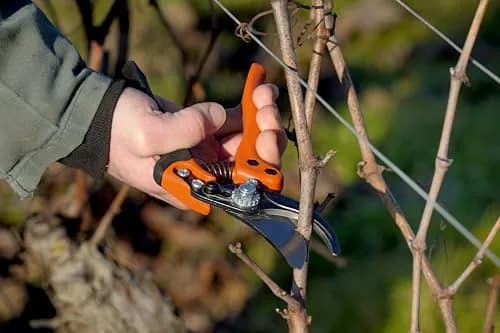 Bahco BAHPX-S2 ERGO Small Bypass Pruning Shears, 7" Length, 3/4" Cut Cap | Ergonomic Garden Shears for Precise Pruning thumbnail 5