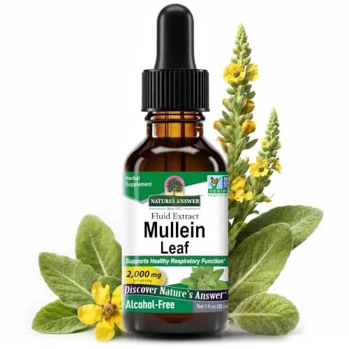 Nature's Answer Mullein Leaf Herbal Supplement 1 fl oz (29.57 ml) | Supports Respiratory Health — 1 Fl Oz