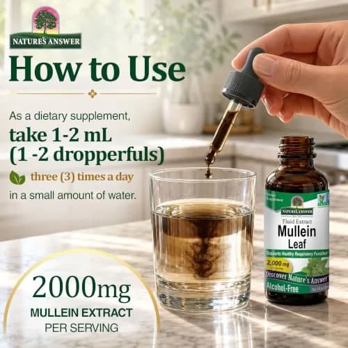 Nature's Answer Mullein Leaf Herbal Supplement 1 fl oz (29.57 ml) | Supports Respiratory Health thumbnail 3