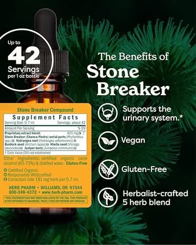 Herb Pharm Stone Breaker Chanca Piedra Liquid Extract 1 oz (30 ml) | Supports Urinary System - view 2