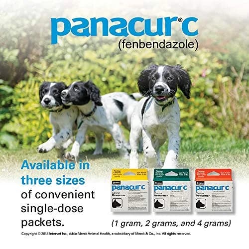 Panacur Canine Dewormer 2g | Treats Roundworms, Hookworms, Whipworms & Tapeworms in Dogs thumbnail 5