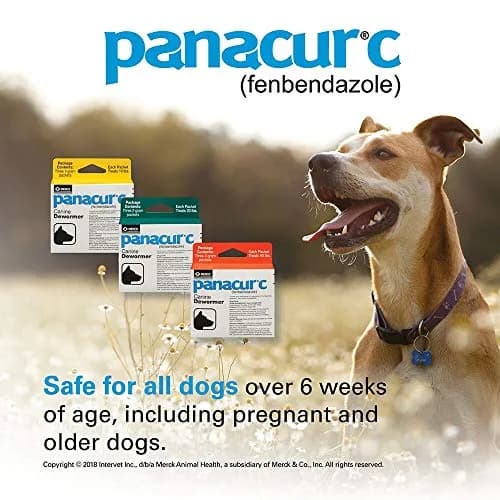 Panacur Canine Dewormer 2g | Treats Roundworms, Hookworms, Whipworms & Tapeworms in Dogs thumbnail 3