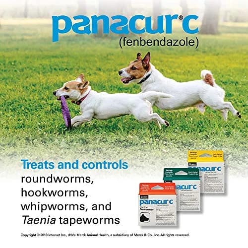 Panacur Canine Dewormer 2g | Treats Roundworms, Hookworms, Whipworms & Tapeworms in Dogs thumbnail 4