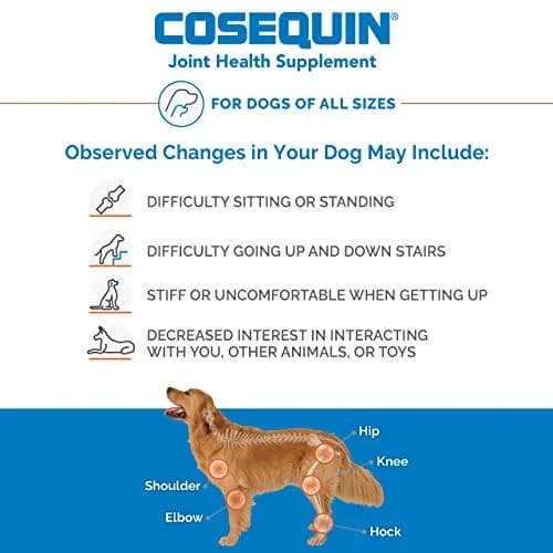 Nutramax Cosequin Joint Supplement for Dogs, Chewable Tablets, 250 Count | Glucosamine & Chondroitin for Joint Health thumbnail 3