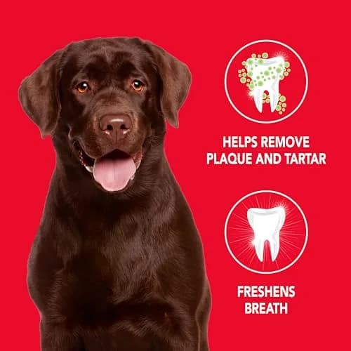 Petrodex Enzymatic Dog Toothpaste Poultry Flavor 75ml (2.5oz) | Controls Plaque & Fights Bad Breath thumbnail 2