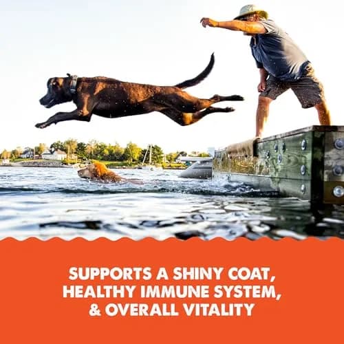Grizzly Salmon Plus Omega 3-6-9 Food Supplement for Dogs & Cats, 4 oz | Supports Heart, Skin & Coat thumbnail 4