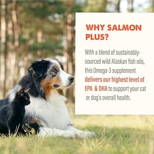Grizzly Salmon Plus Omega 3-6-9 Food Supplement for Dogs & Cats, 4 oz | Supports Heart, Skin & Coat thumbnail 5