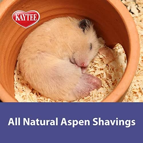 Kaytee Aspen Bedding for Small Animals 19.7 Liter | Dust-Free Aspen Shavings for Hamsters & Rabbits thumbnail 3