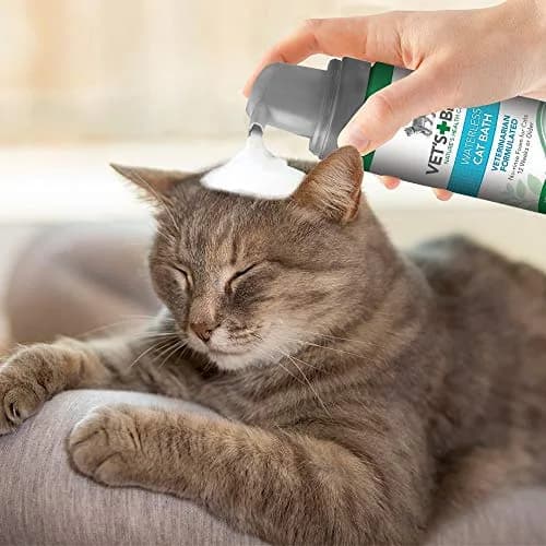Vet's Best Waterless Cat Bath Dry Shampoo 4 oz | No-Rinse Formula for Sensitive Skin thumbnail 4
