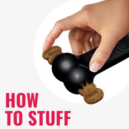 KONG Extreme Goodie Bone | Durable Natural Rubber Chew Toy for Medium Dogs thumbnail 5