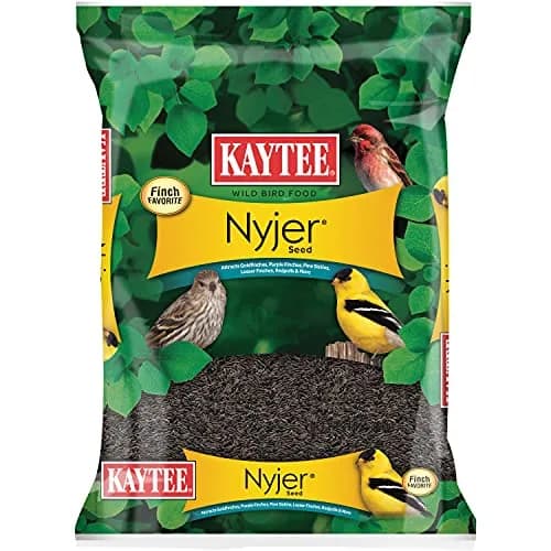 Kaytee Nyjer Thistle Seed 3 Pound | No hulls, attracts finches & small songbirds thumbnail 1