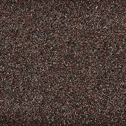 Kaytee Nyjer Thistle Seed 3 Pound | No hulls, attracts finches & small songbirds thumbnail 4