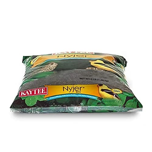 Kaytee Nyjer Thistle Seed 3 Pound | No hulls, attracts finches & small songbirds thumbnail 7