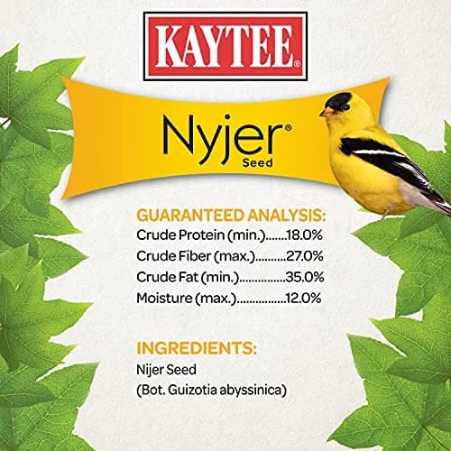 Kaytee Nyjer Thistle Seed 3 Pound | No hulls, attracts finches & small songbirds thumbnail 9