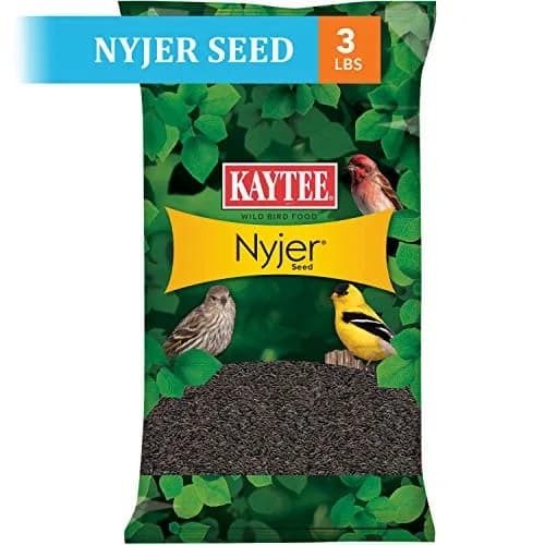 Kaytee Nyjer Thistle Seed 3 Pound | No hulls, attracts finches & small songbirds thumbnail 2