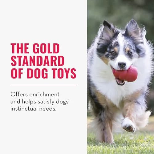 KONG Classic Stuffable Dog Toy, Natural Rubber Chew, Large (222 g / 7.8 oz) | Durable Chew Toy for Large Dogs thumbnail 3