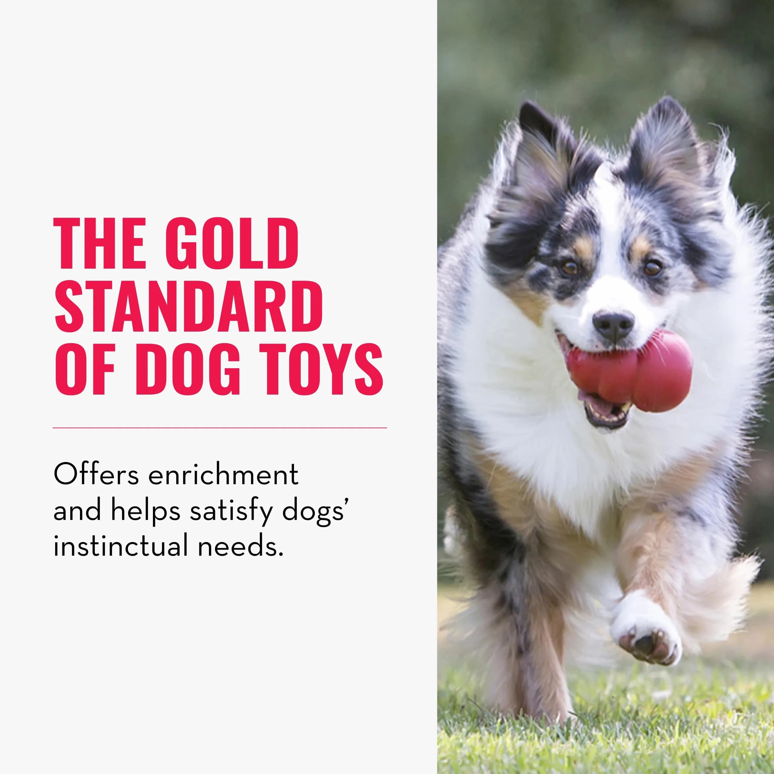 KONG Classic Stuffable Dog Toy, Natural Rubber Chew, Large (222 g / 7.8 oz) | Durable Chew Toy for Large Dogs - view 3