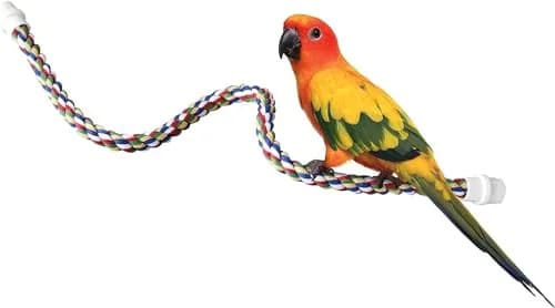 JW Pet Comfy Perch for Birds Flexible Multi-color Rope, Medium - 32" Length | Stimulates & Supports Bird Feet thumbnail 5