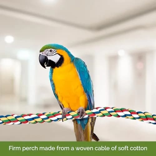 JW Pet Comfy Perch for Birds Flexible Multi-color Rope, Medium - 32" Length | Stimulates & Supports Bird Feet thumbnail 2