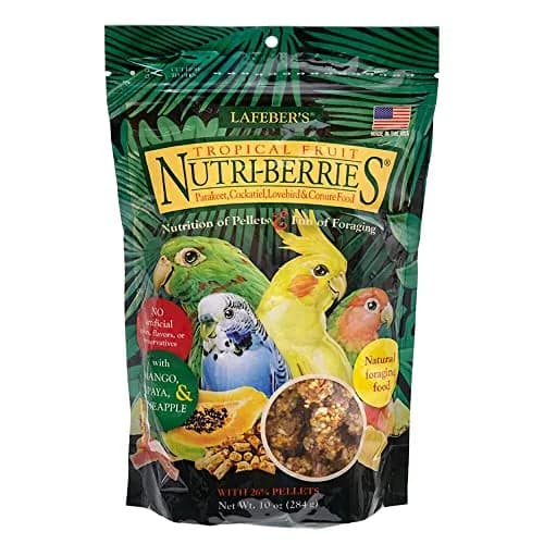 LAFEBER'S Tropical Fruit Nutri-Berries Pet Bird Food 283.5 g (10 oz) | Nutritionally Complete Foraging Diet thumbnail 1