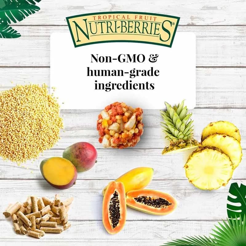 LAFEBER'S Tropical Fruit Nutri-Berries Pet Bird Food 283.5 g (10 oz) | Nutritionally Complete Foraging Diet thumbnail 2