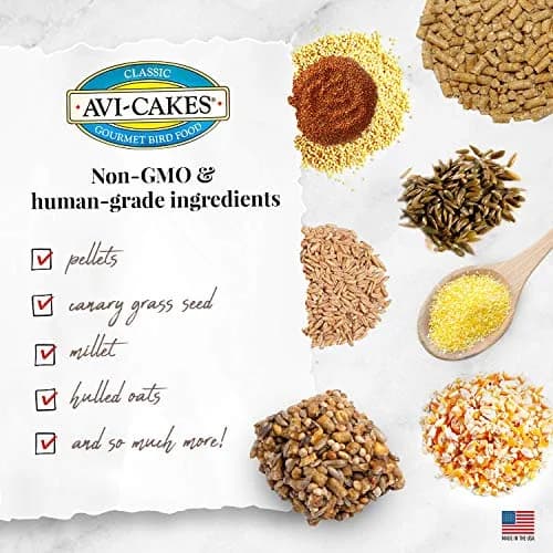 LAFEBER'S Classic Avi-Cakes for Cockatiels & Parakeets 9.07 kg (20 lb) | Nutritionally Complete Foraging Food thumbnail 4