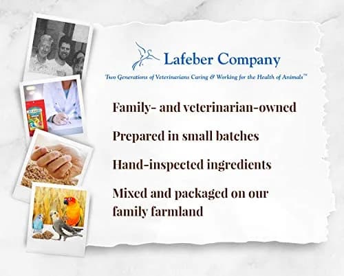 LAFEBER'S Classic Avi-Cakes for Cockatiels & Parakeets 9.07 kg (20 lb) | Nutritionally Complete Foraging Food thumbnail 7