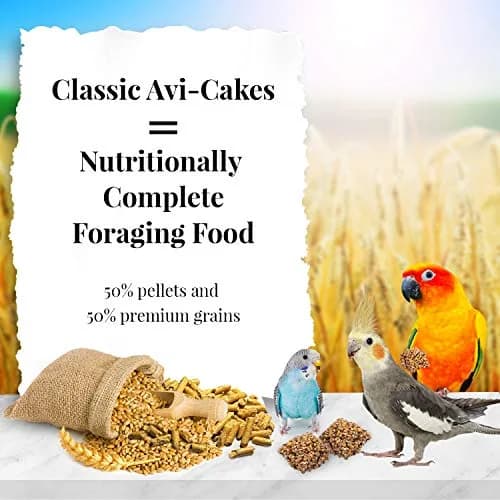 LAFEBER'S Classic Avi-Cakes for Cockatiels & Parakeets 9.07 kg (20 lb) | Nutritionally Complete Foraging Food thumbnail 2