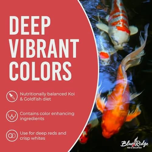 Blue Ridge Koi Fish Food 2lb - Mini Growth Formula Floating Pellets | Premium Koi & Goldfish Food for Ponds thumbnail 5