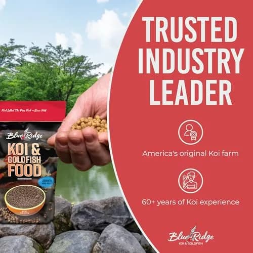 Blue Ridge Koi Fish Food 2lb - Mini Growth Formula Floating Pellets | Premium Koi & Goldfish Food for Ponds thumbnail 7