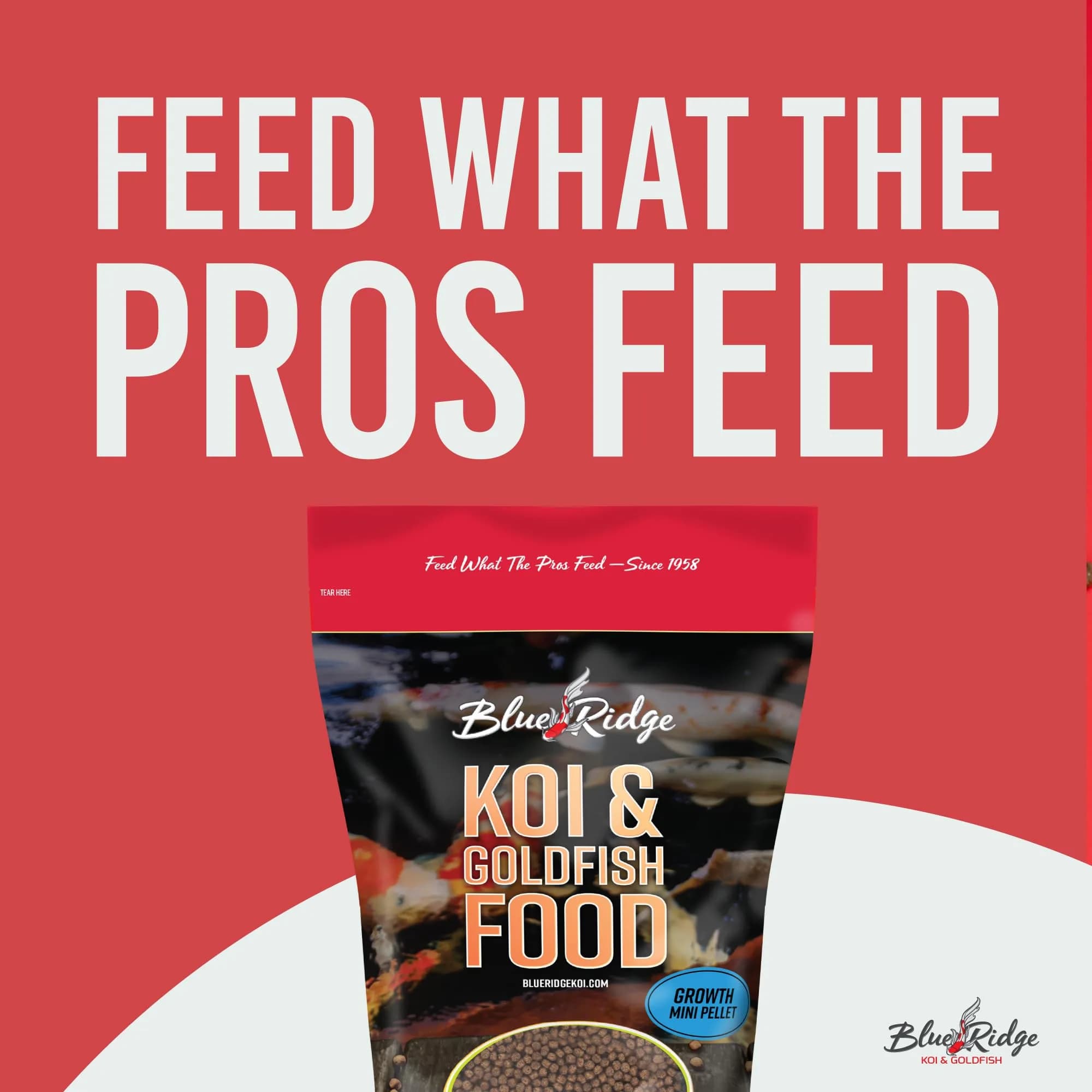 Blue Ridge Koi Fish Food 2lb - Mini Growth Formula Floating Pellets | Premium Koi & Goldfish Food for Ponds - view 3