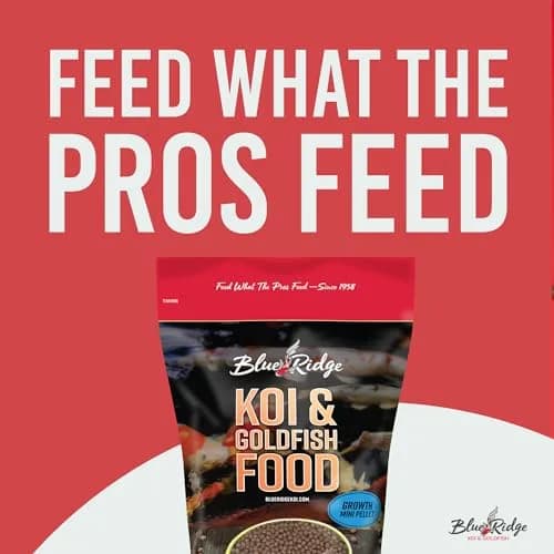 Blue Ridge Koi Fish Food 2lb - Mini Growth Formula Floating Pellets | Premium Koi & Goldfish Food for Ponds thumbnail 3