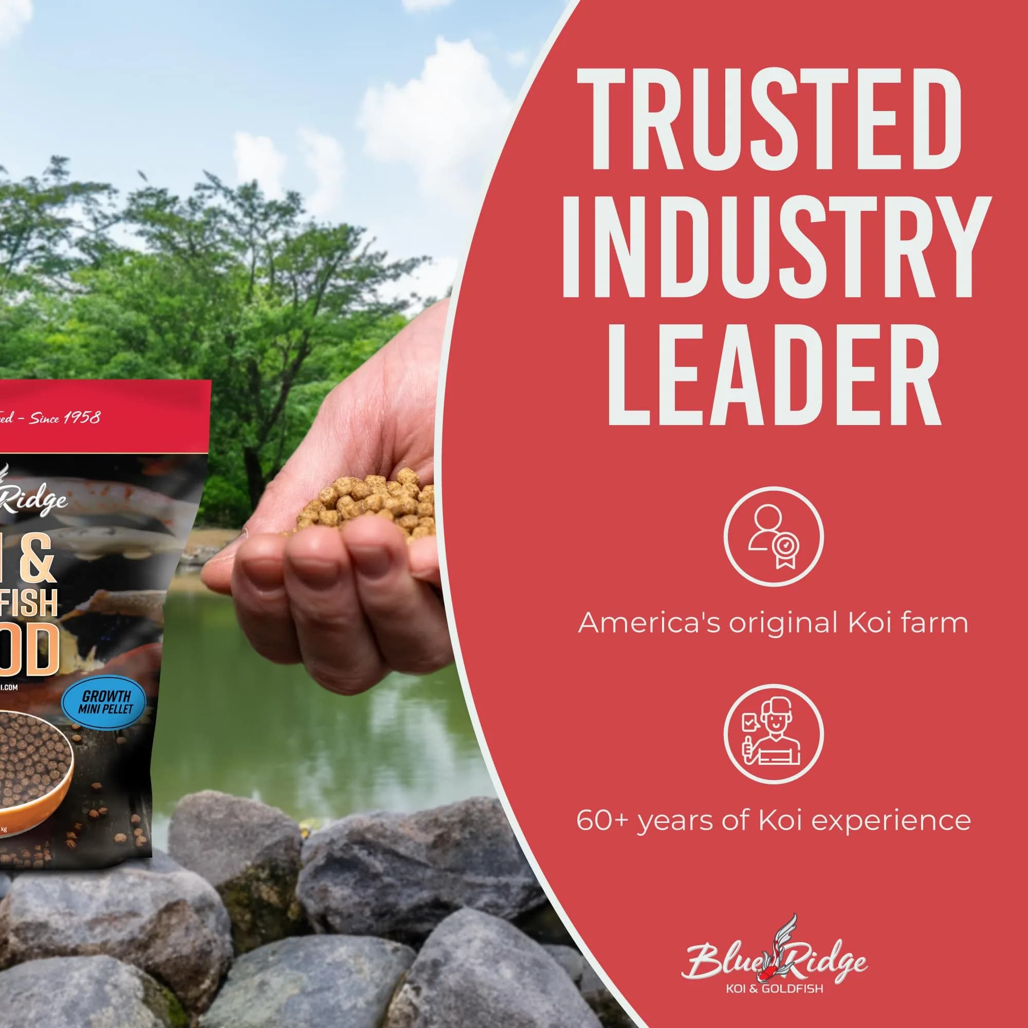 Blue Ridge Koi Fish Food, Growth Formula Mini, 1/8" Pellets, 5 lb (2.27 kg) | Supports Vibrant Color & Active Growth - view 7