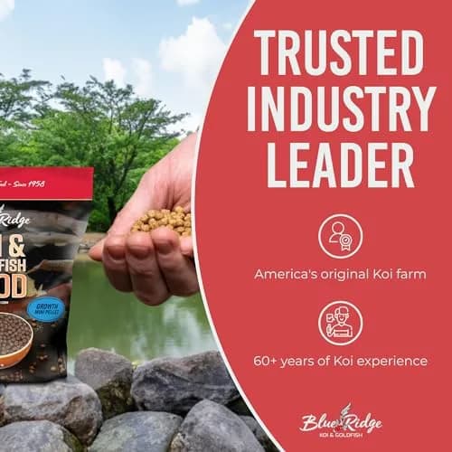 Blue Ridge Koi Fish Food, Growth Formula Mini, 1/8" Pellets, 5 lb (2.27 kg) | Supports Vibrant Color & Active Growth thumbnail 7