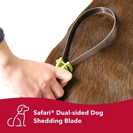 Coastal Pet Safari Dual-Sided Dog Shedding Blade, Medium-Large, 10" x 3.25" | Stainless Steel, Double Sided, Shedding Tool for Thick Coats thumbnail 3