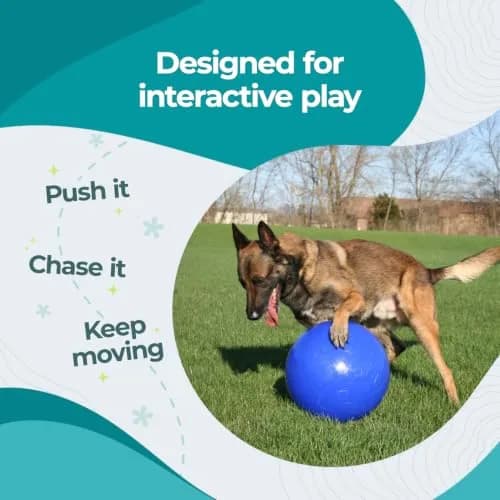 Jolly Pets Push-n-Play Ball Dog Toy 6 Inches Medium Blue | Durable Floating Fetch Toy for Energetic Dogs thumbnail 4
