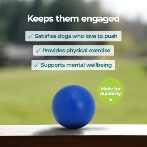 Jolly Pets Push-n-Play Ball Dog Toy 6 Inches Medium Blue | Durable Floating Fetch Toy for Energetic Dogs thumbnail 2
