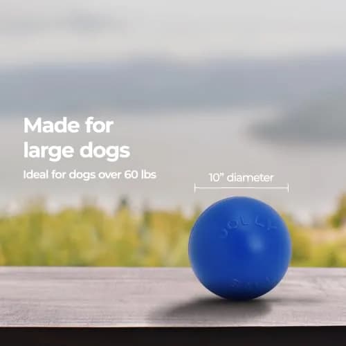 Jolly Pets Push-n-Play Ball Dog Toy 10 Inches Large Blue | Heavy Duty for Large Dogs thumbnail 6