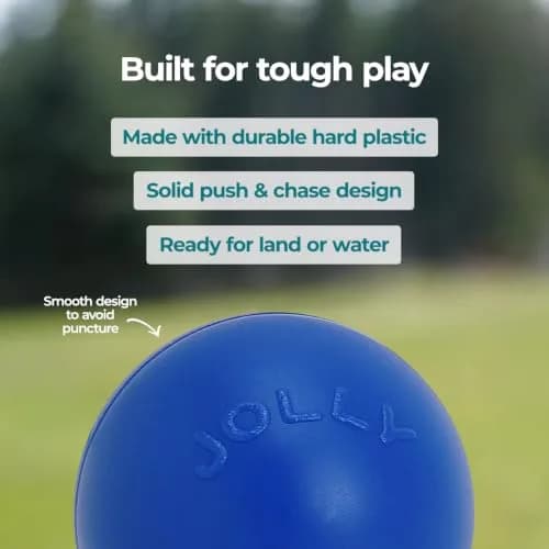 Jolly Pets Push-n-Play Ball Dog Toy 10 Inches Large Blue | Heavy Duty for Large Dogs thumbnail 7