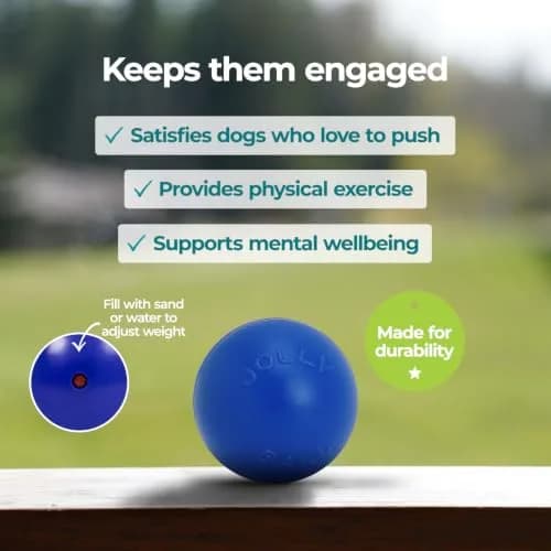 Jolly Pets Push-n-Play Ball Dog Toy 10 Inches Large Blue | Heavy Duty for Large Dogs thumbnail 2