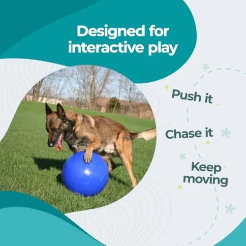 Jolly Pets Push-n-Play Ball Dog Toy 10 Inches Large Blue | Heavy Duty for Large Dogs thumbnail 3