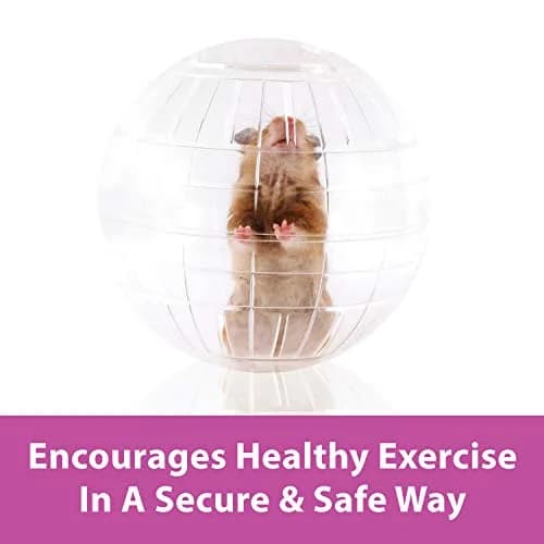 Kaytee 7" Clear Run-About Exercise Ball for Hamster & Gerbil Pets | Safe, Durable Polycarbonate, 7-Inch Diameter, Clear thumbnail 2