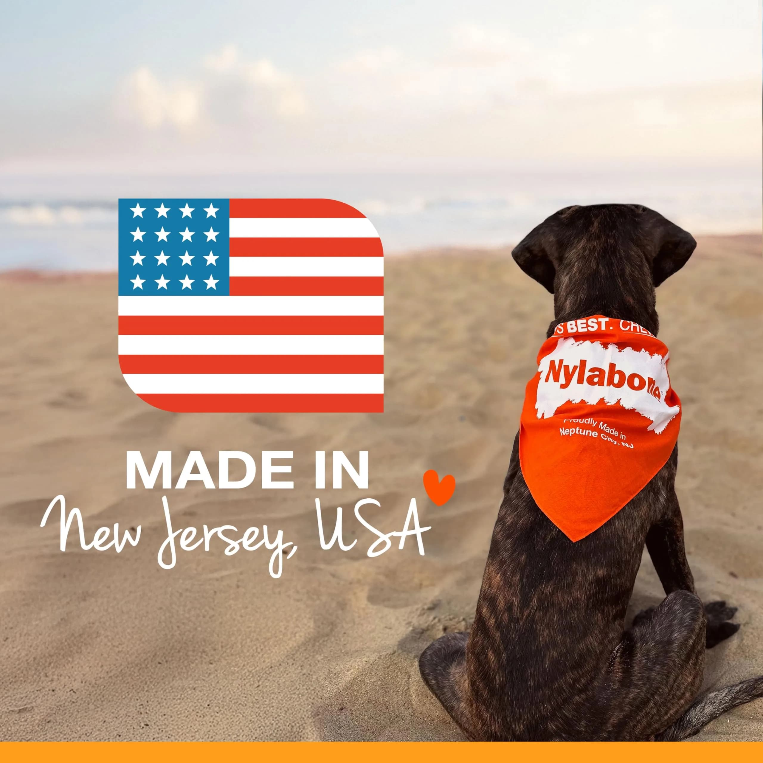 Nylabone Puppy Chew Teething Bone Dog Chew Toy, Chicken Flavor, Small (50g / 1.76oz) | Soothes Gums & Teaches Healthy Chewing - view 9