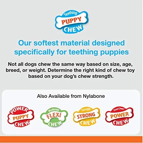 Nylabone Puppy Chew Teething Bone Dog Chew Toy, Chicken Flavor, Small (50g / 1.76oz) | Soothes Gums & Teaches Healthy Chewing thumbnail 3