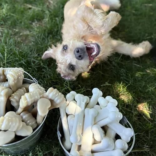 Nylabone Power Chew Original Bone Dog Chew Toy, Chicken Flavor, Small | Durable Chew Toy for Small Dogs Up to 25 lbs thumbnail 2