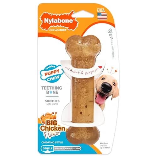 Nylabone Puppy Chew Teething Bone Dog Toy, Chicken Flavor, Medium 10.8cm (4.25in) | Soothes Gums & Teaches Chewing thumbnail 1
