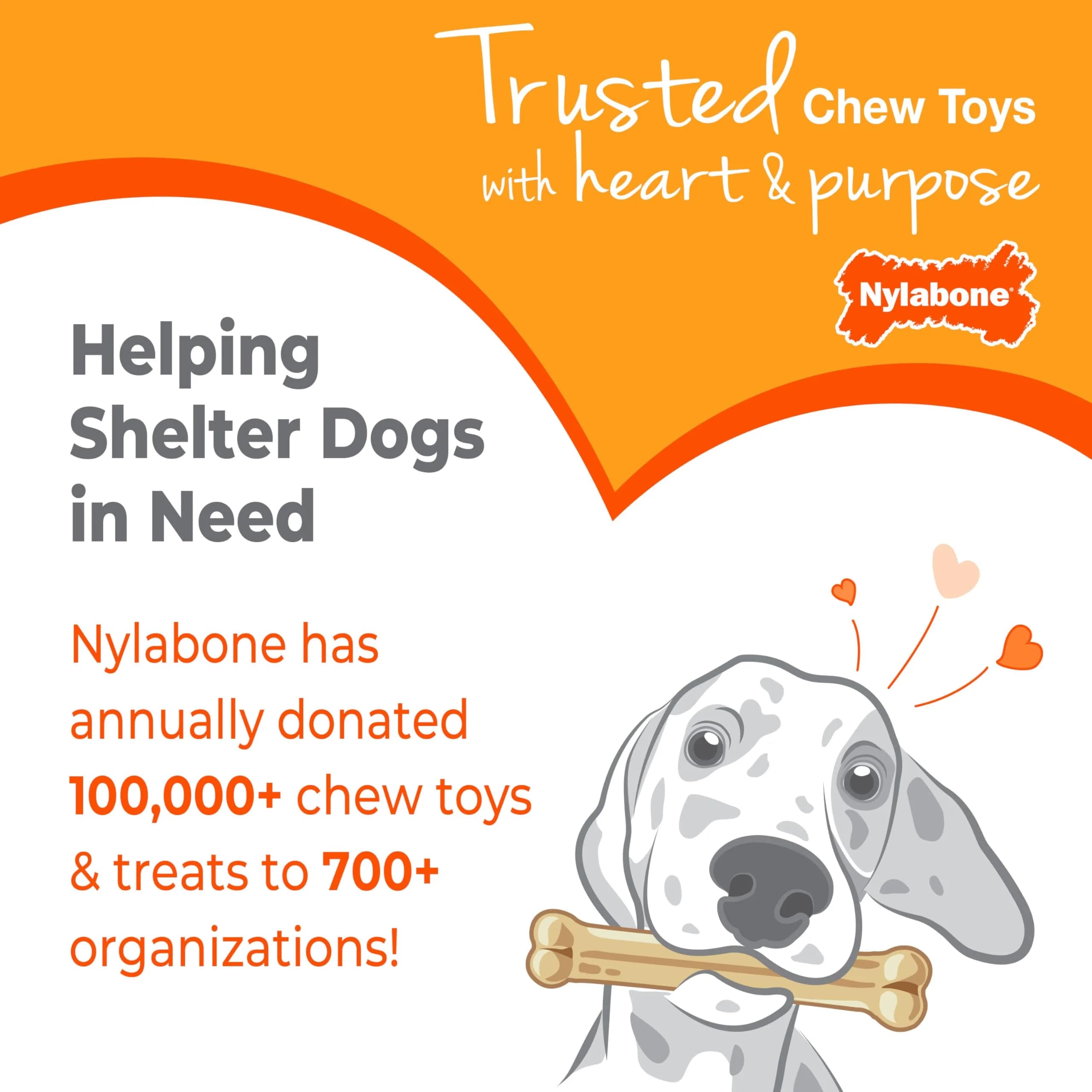 Nylabone Puppy Chew Teething Bone Dog Toy, Chicken Flavor, Medium 10.8cm (4.25in) | Soothes Gums & Teaches Chewing - view 8
